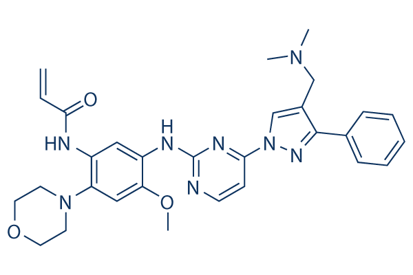 Amivantamab / JNJ-6372